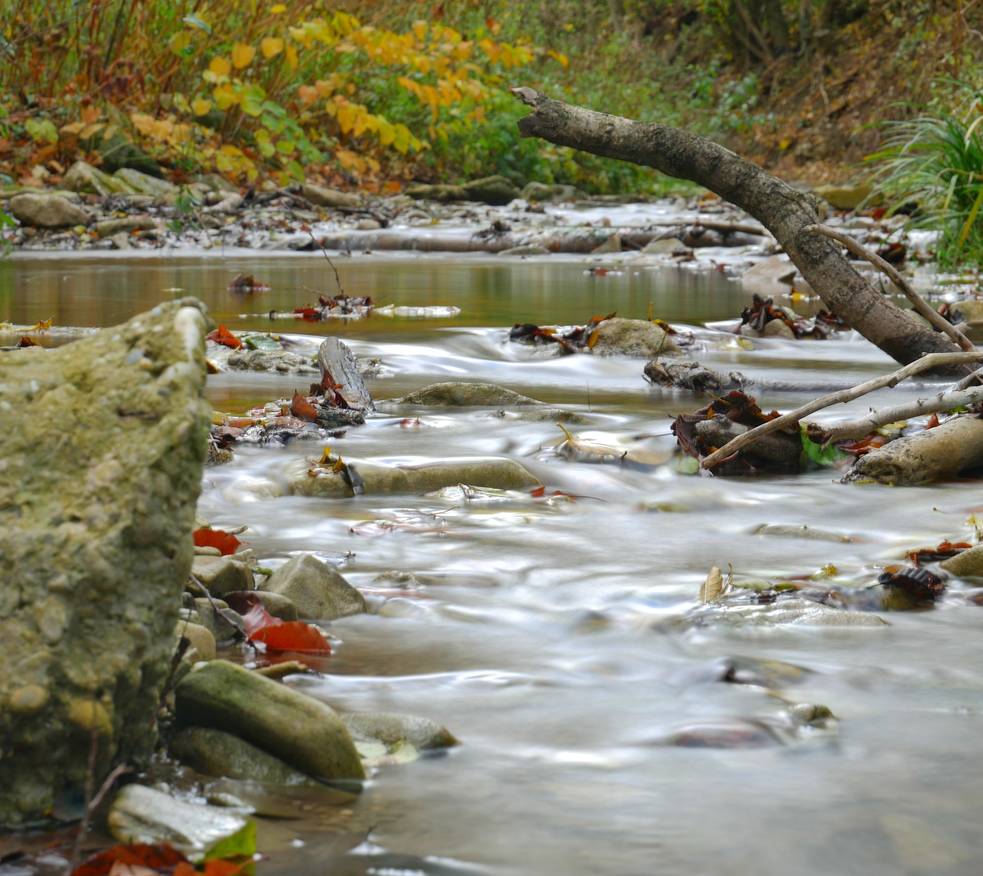 Naturerlebnis Am Wasser Naturerlebnis