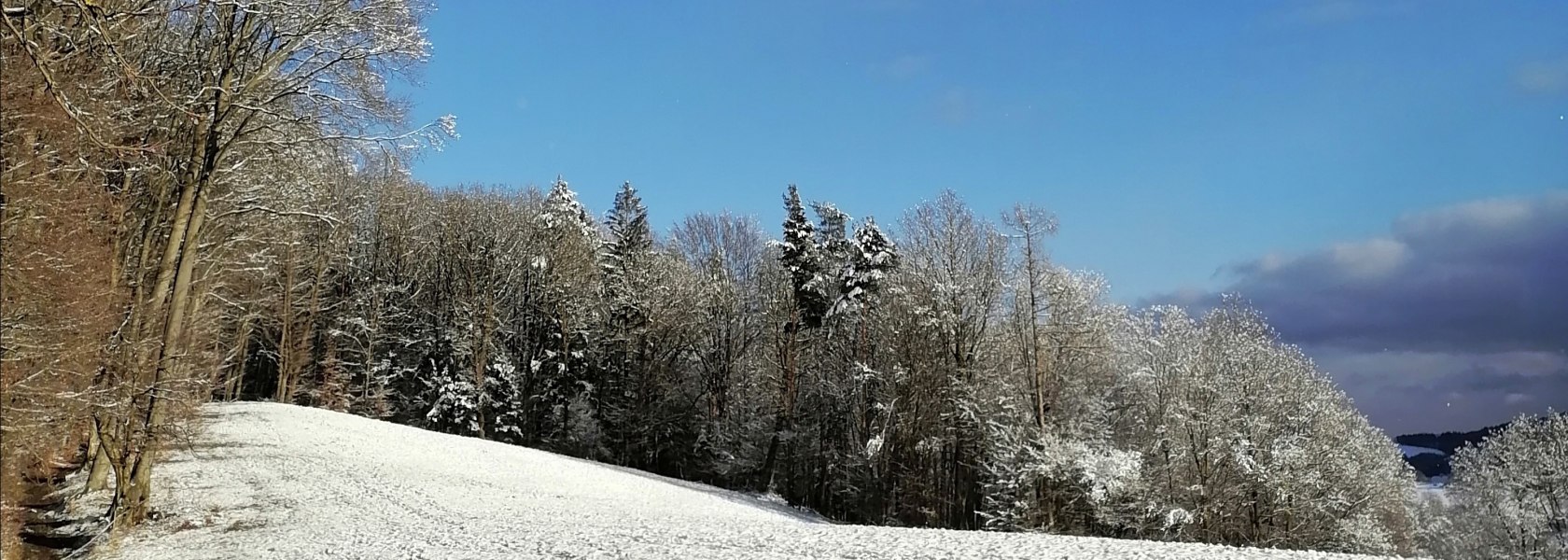 Landschaft_Schnee_blauer Himmel, © Cornelia Kassil