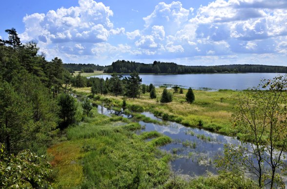 Moor Landscape, © POV