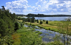 Moorlandschaft Naturpark Heidenreichstein, © POV