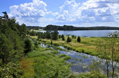 Moorlandschaft Naturpark Heidenreichstein, © POV