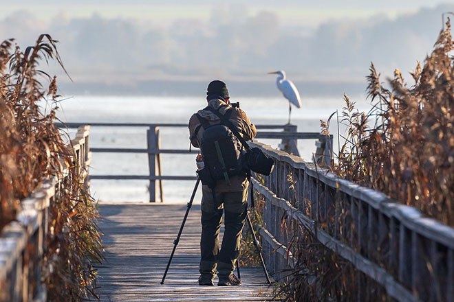 Nature photographer, © Heiko Stein auf Pixabay