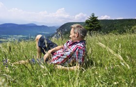 Gemütlicher Rastplatz Hohe Wand, © Naturpark Hohe Wand