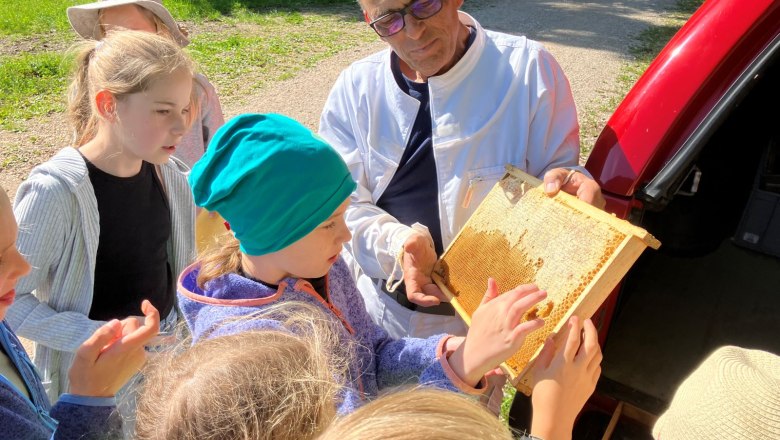 Spannende Informationen vom Imker, © Naturpark Hohe Wand