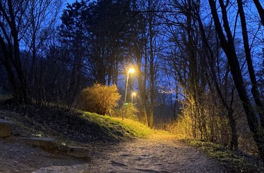 Nachts im Naturpark Purkersdorf, © Orosel G.