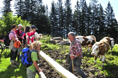 Familie am Bauernhof in Hollenstein, © Naturparke Niederösterreich/POV