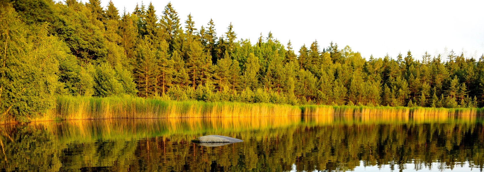 Summer at Heidenreichstein, © Naturparke Niederösterreich/POV