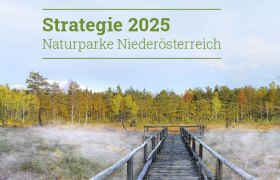 Strategie 2025, © Naturpark Heidenreichsten/W. Dolak