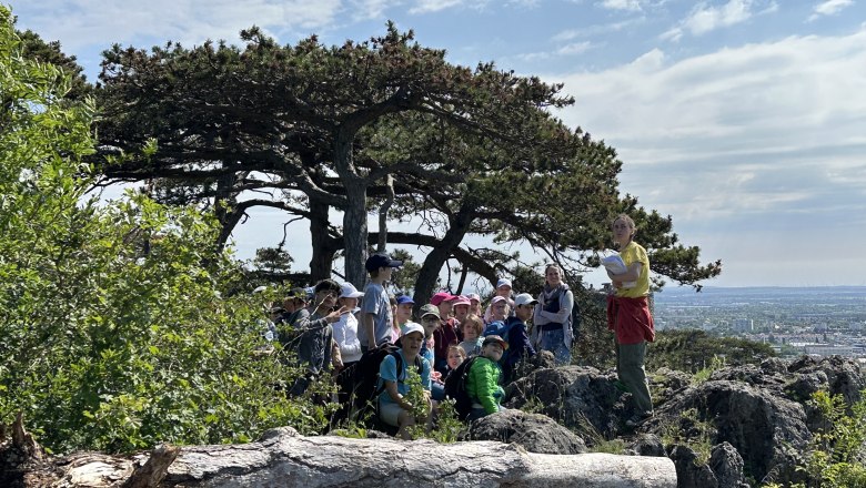 Die 3b der VS Sebastian Kneippgasse aus Perchtoldsdorf unterwegs im Naturpark Föhrenberge mit Nora Petermair (Naturpädagogin LPV). , © c_EWeiszEmesz