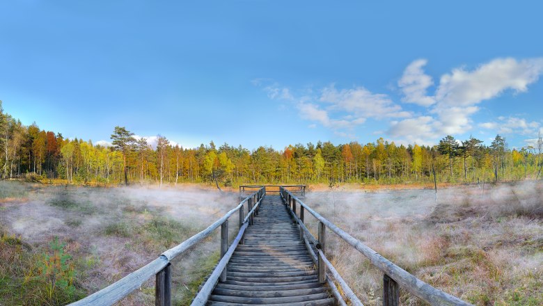 Heidenreichsteiner Moor - Prügelsteig, © Horst Dolak