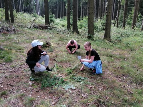 Der Wald als Spielort, © Naturpark Heidenreichsteiner Moor