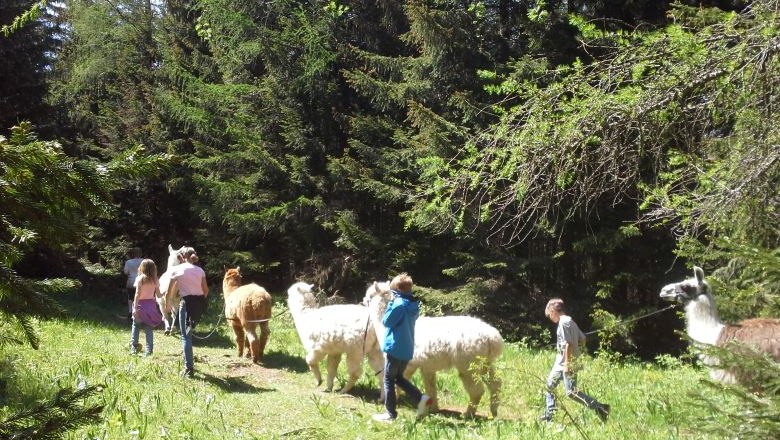 Hohe Wand - tierischer Ausflug , © Naturpark Hohe Wand