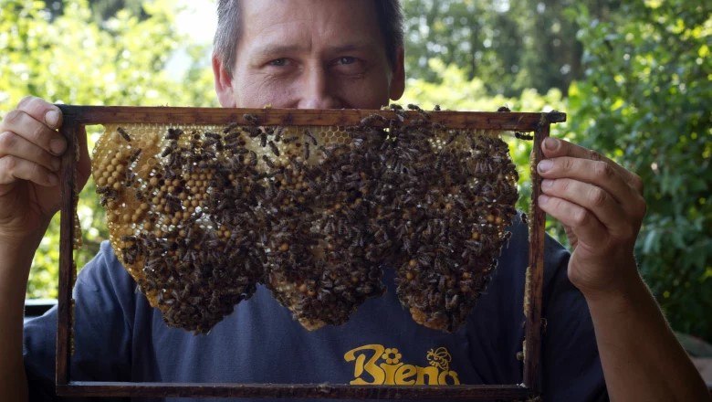 Die Naturparkbienen und ihr Imker, © Naturpark Purkersdorf