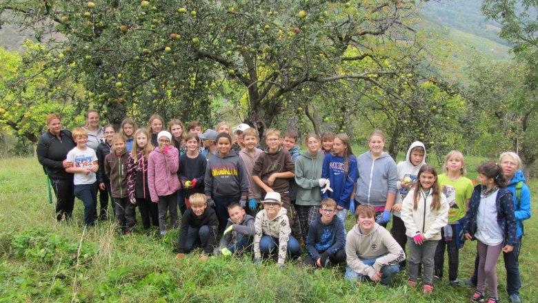 Apfelsammeln in der VS Spitz, © Naturpark Jauerling-Wachau