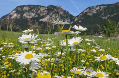 Blick auf den Naturpark Hohe Wand, © Naturpark Hohe Wand