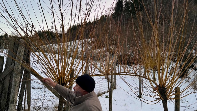 Hochlagenobst, © Verein Naturparke Noe