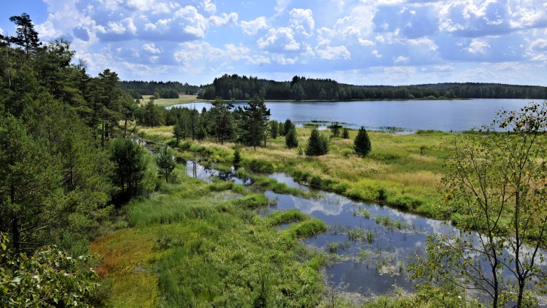 Moorlandschaft Naturpark Heidenreichstein, © POV