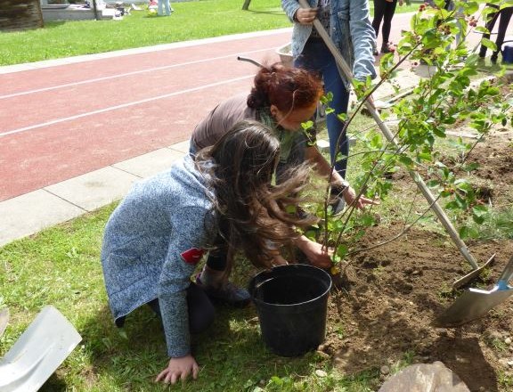 Neue Obstbäume für den Schulgarten, © Naturpark Jauerling-Wachau