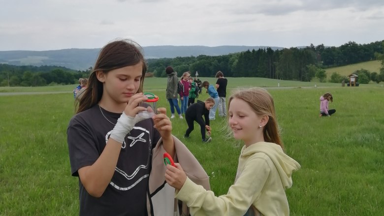 Entdeckungen mit der Becherlupe, © Naturpark Kamptal-Schönberg