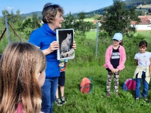 Spannende Informationen zur Wildkatze, © VS Maria Laach