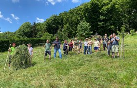 Das Freiwilligen-Team auf der Feilerhöhe, © Naturpark Purkersdorf