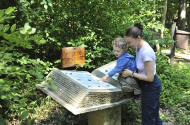 Naturpark Purkersdorf, © Naturparke Niederösterreich/POV