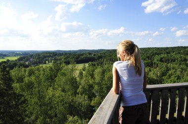 Der Naturpark Blockheide von oben, © Naturparke Niederösterreich/POV