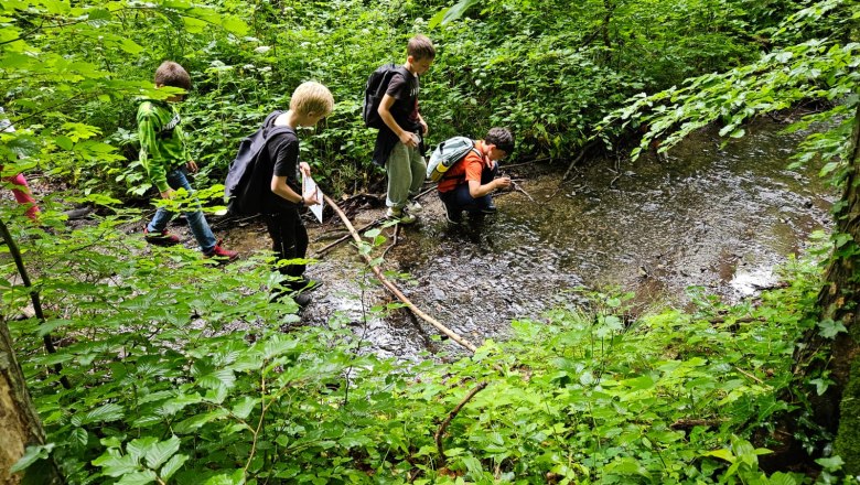 Citizen Scientists im Auftrag den Biodiversität, © Naturpark Mannersdorf